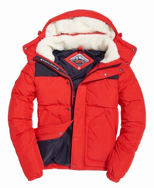 Superdry SD Expedition Férfi Kabát Piros | BUMSE9236